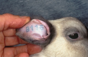 1.11198_PHOTOSHOT-B2541_175559_08227