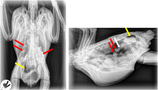 1-s2.0-S1557506315000798-gr2