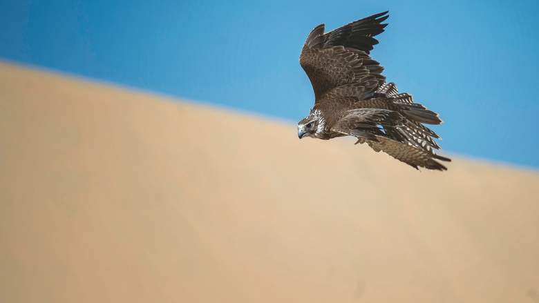 EP-302209920.jpg&MaxW=780&imageVersion=16by9&NCS_modified=20160221034909