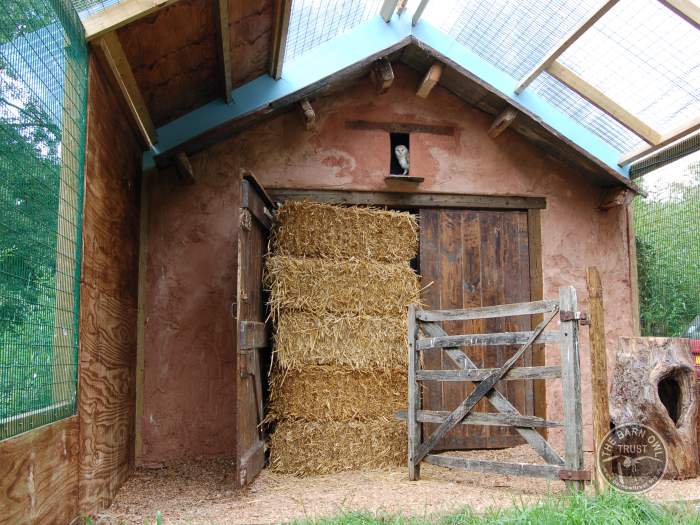 Keeping-a-captive-owl_aviary-design