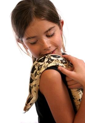 Hacia atrás Énfasis ayudar Zoonosis transmitidas por reptiles | Infoexóticos